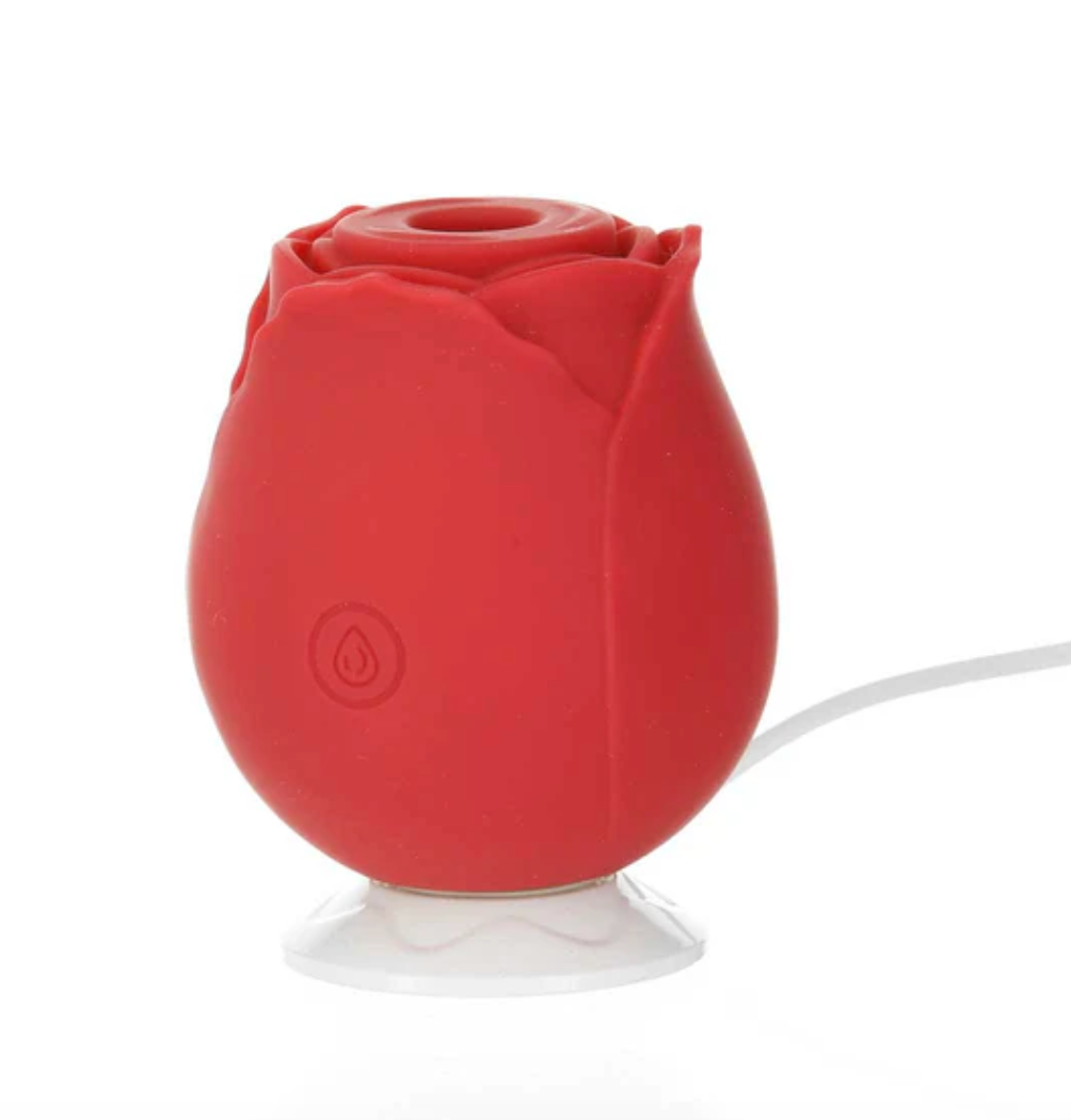 LADY ROSE - LA ROSE DE LA SAINT-VALENTIN