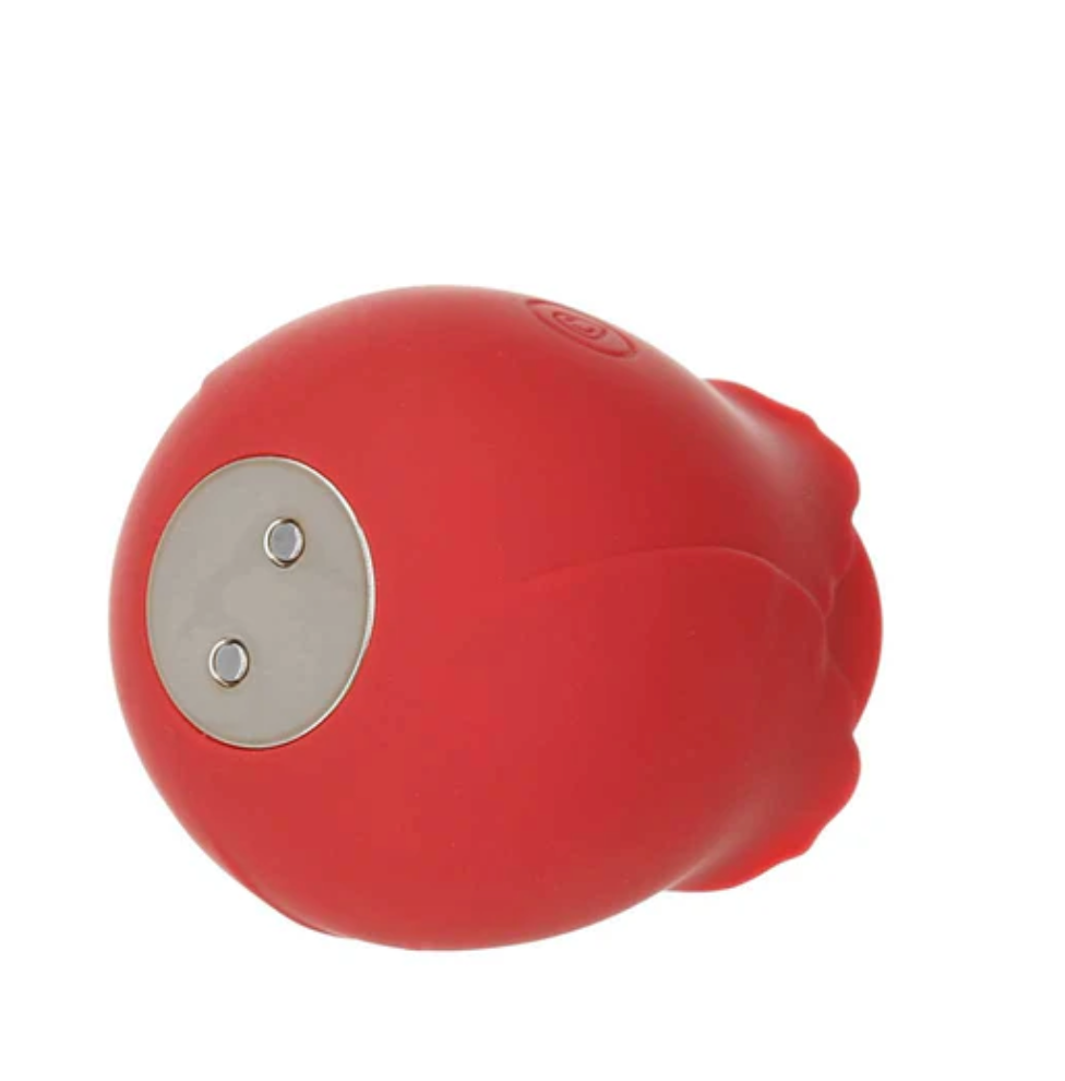 LADY ROSE - LA ROSE DE LA SAINT-VALENTIN