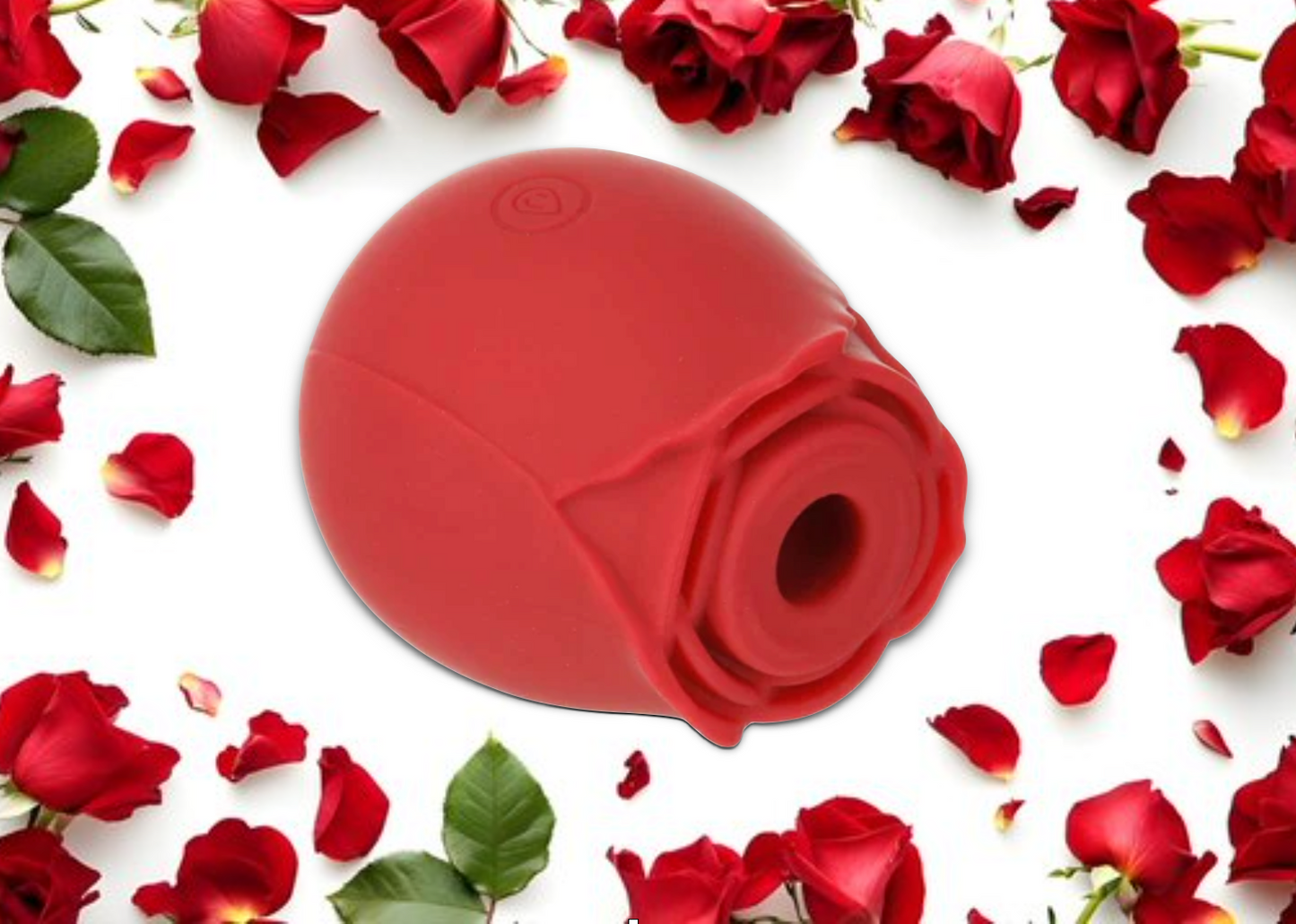 LADY ROSE - LA ROSE DE LA SAINT-VALENTIN