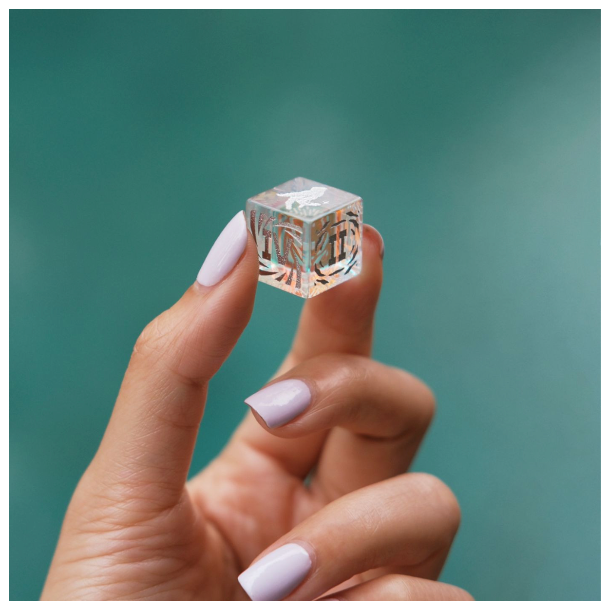 Biird - Together Jeu de Cartes - Français