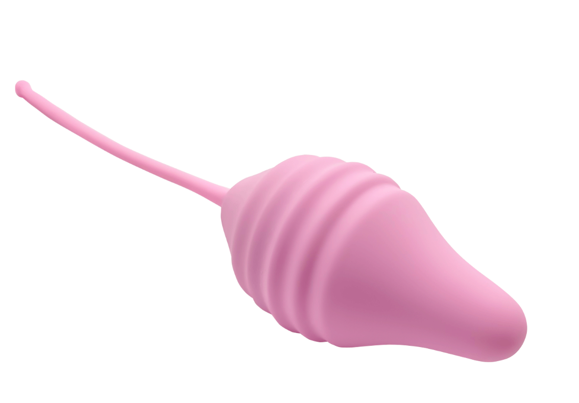 Pelvix - Femintimate Kegel Kit