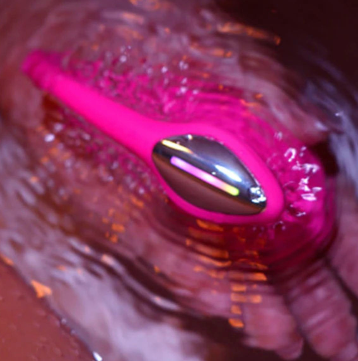 Lovense - Lush 4
