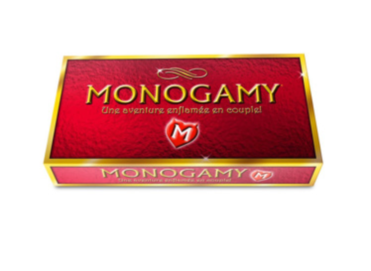 JEU MONOGAMY FRANCAIS